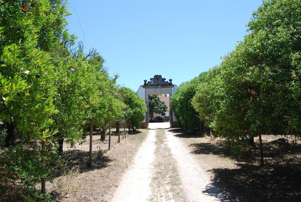 Quinta Do Casalinho - Benfica Do Ribatejo Villa Exterior foto