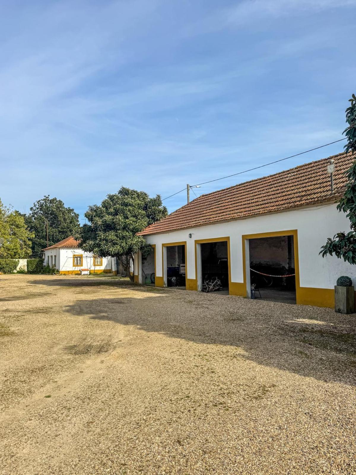 Quinta Do Casalinho - Benfica Do Ribatejo Villa Exterior foto